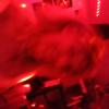 cats55