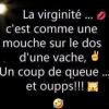 laurier_est