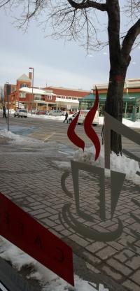 rencontre célibataire gaspésie